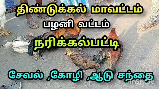 சேவல் கோழி சந்தை#Narikkalpatti#subscribe #aseelmurga #திண்டுக்கல் #seval kozhi vilai#Rooster market