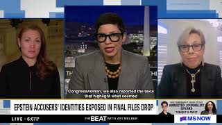 Rep. Stansbury: The latest Epstein files drop and who it implicates
