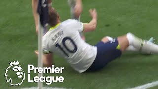 Harry Kane gets Tottenham Hotspur back in front of Brighton | Premier League | NBC Sports