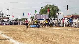 DS.Reddy bulls Dhoma mahasri\u0026keerthana reddy garu karlapalem....in morjampadu