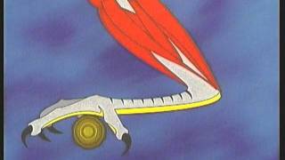 Why a Bird does not fall off its Perch