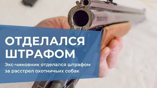 Экс-чиновник отделался штрафом за расстрел охотничьих собак