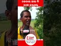 କେନାଲ ଥାଇ ବି ପାଣି ପାଇଁ ଚାଷୀ ହନ୍ତସନ୍ତ farmers latest news odishanews breakingnews shorts