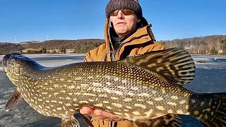 PA Ice Fishing: Live vs Dead Bait (FIRST ICE 2024)