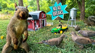 TV for Dogs & Cats: FARM EDITION 🧑🌾🚜 | 10 Hours of Squirrels & Birds | Background Ambience