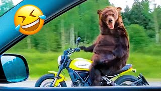 Funny Animal Videos 2023 😇 - Funniest Dogs and Cats Videos 🥰 #3