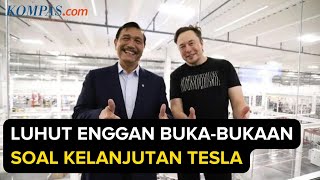 Luhut Enggan Beberkan Kelanjutan Investasi Tesla di Indonesia