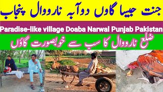 amazing village life narowal doaba pakistan punjab | punjabi rang pak |