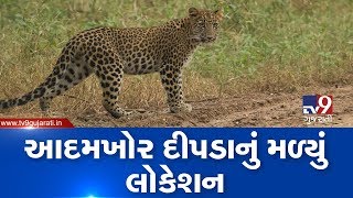 'Man Eater' leopard located in Amreli's Kadaya region, sharp shooters track the location | TV9News