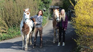 Umweltschutz in der Reiterwelt - Riders for Future