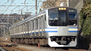 【全46編成収録】E217系付属編成（4両）全編成映像集