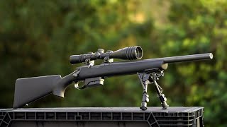10 Best Bolt Action Rifle for the Money 2023