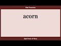 acorn, How to Say or Pronounce ACORN in American, British, Australian English