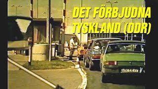 Bilsemester i Tyskland 1978, TrafikMagasinet, BilTV med Perstad