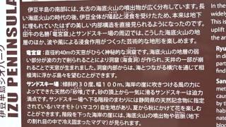 竜宮窟とサンドスキー　田牛　下田市　静岡県