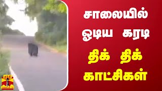 சாலையில் ஓடிய கரடி - திக் திக் காட்சிகள் | dindugal