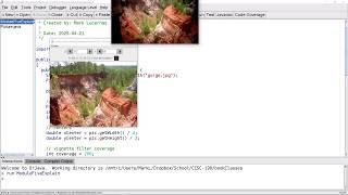 CISC 190 M5 Explain: Conditional Execution