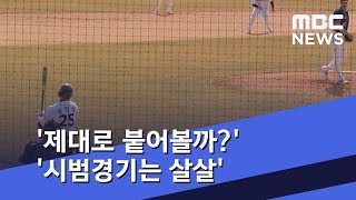 '제대로 붙어볼까?' '시범경기는 살살' (2019.03.14/뉴스데스크/MBC)