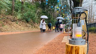 Moominvalley park saitama, japan/  ムーミンバレーパーク　埼玉県