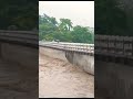 assam flood2023😳nalbari pagoldia river😱 shortsvideo viral nalbari banpani