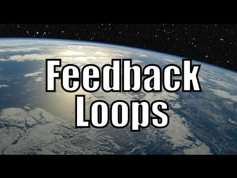 What are feedbacks in the climate system?