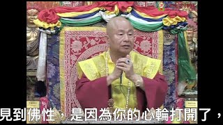 20130727聖尊蓮生活佛盧勝彥笑談佛法：心輪中日月輪上的藍光即佛性－TBSN高清中文字幕版