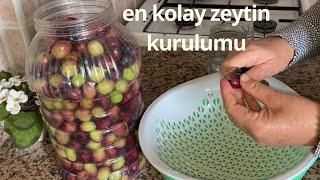 En Kolay Mor Zeytin Kurma Yöntemi /  ZEYTİN Salamura Nasıl Yapılır