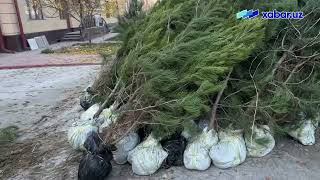 Raqamli hukumat loyihalarini boshqarish markazi xodimlari hasharda