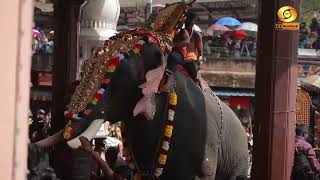 ആലങ്ങാട് സംഘം വാവര് പള്ളിയിൽ കയറാത്തത് എന്ത് കൊണ്ട് ? Alangadu Sangham and Vavar Palli -PettaThullal