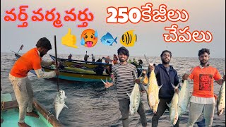 250kgs 🥳🥵🤙 చేపలు వర్తు వర్మ వర్తు పెద్ద చేపలు పట్టాం #fishing #seahunter #telugu