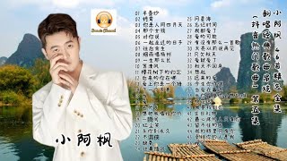 小阿枫 46首精选全集 翻唱经典歌曲串烧（抖音热门歌曲）第五集