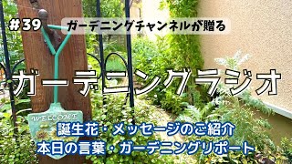 【ガーデニングラジオ：９/２４】#39 ９月に咲くガーデンの花々をご紹介しながらのトークです。映像付きラジオになります。 #ガーデニング #ラジオ #gardening #flowers