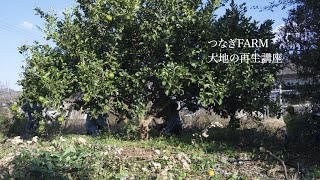 つなぎFARM 大地の再生講座