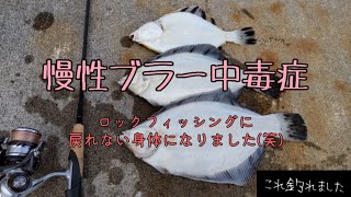 【手軽に大物】初心者からベテランまで楽しめる釣り【ブラー釣り】漁港内で大物ゲット