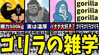 【動物雑学】ゴリラの面白い雑学７選を解説！