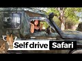 Self drive safari in Kenya ?!? / All you need to know before doing a Kenya self-drive safari...