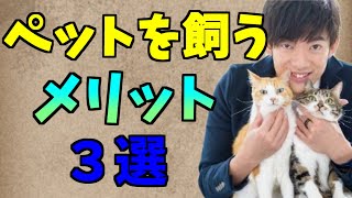 【ペットを飼うメリットを教えます】