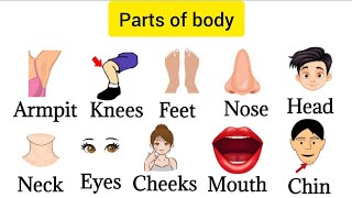 40+ parts of body|| Basic parts of body||Learning and practice english #english