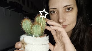 Io parlo tu addormentati 🗣️😴 | Nuovi suoni + chiacchiere | ASMR ITA