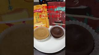 2/9【breakfast】★【中村屋】  ご褒美喫茶チーズケーキ＆ガトーショコラ  #short