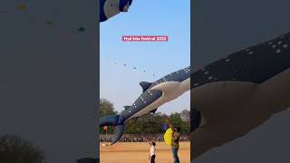 Kite festival 2025 Hyderabad #telugu #telugushorts #joke #youtube #youtuber #vlog #blogger