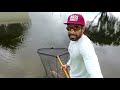 catching giant $4 000 koi fish in city canal new pet