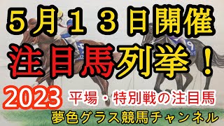 【注目馬列挙・平場予想】2023年5月13日JRA平場特別戦！京都メイン都大路ステークスの注目馬！今週も雨に悩まされそう！