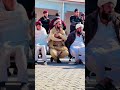 مبارز مجبور پختون 🩵🇦🇫 نجيب اورکزي manzoorpashteen gilamanwazir shorts