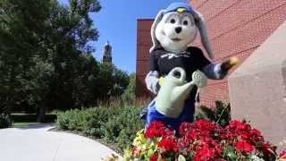 Welcome Back to SDSU