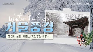 [정읍시] ❄️겨울이 오면 꼭 가야할 곳! 정읍 내장산 설경❄️｜☃️설경 산행은 어디로? #정읍 #내장산