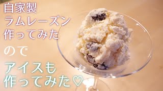 【大人の味】ラムレーズンアイス〈#123/張り切り編〉