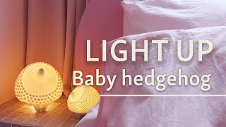 Light Up Porcelain: Hedgehog LAMP | Lladró