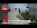 Un cocodrilo puso a correr a bañistas en una playa | Al Rojo Vivo | Telemundo