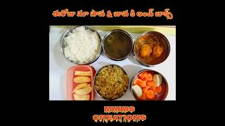 ఈరోజు మా పాపకి మా బావకి లంచ్ బాక్స్#food #cooking #lunch #పిల్లలు #బ్లాగ్ #telugu#కిడ్స్ హెల్తీ ఫుడ్